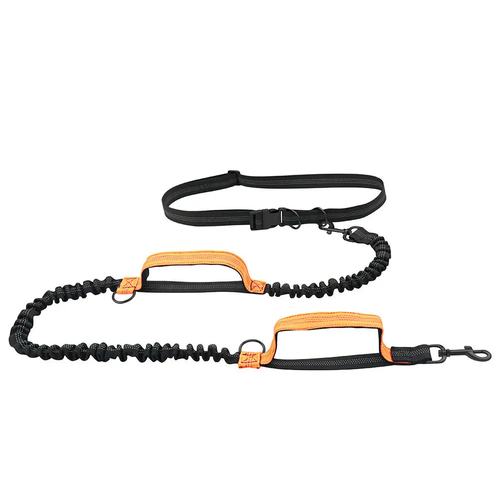 Dog Hand Holding Rope Portable Running - Marsel & Co.