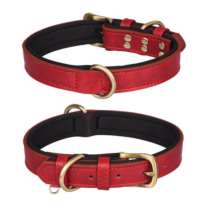 Pet Collar for Dogs & Cats - Marsel & Co.