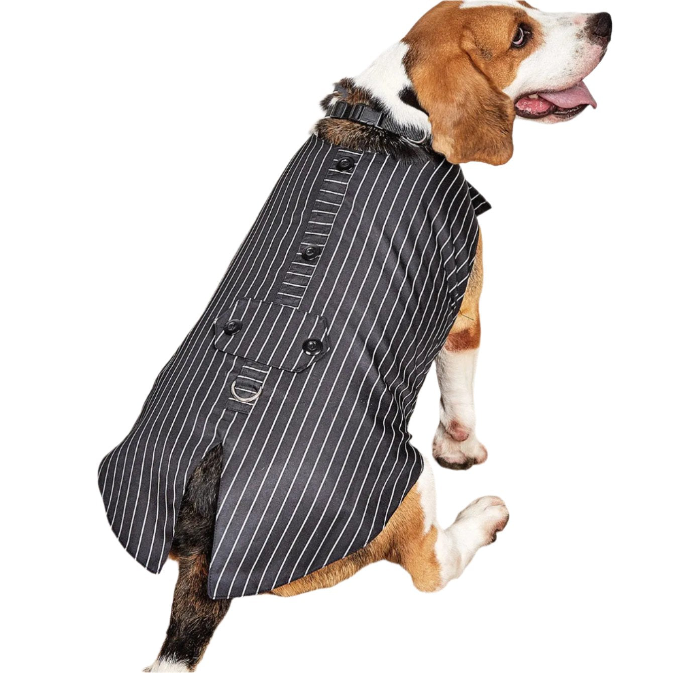 Dog Pet Clothing - Marsel & Co.