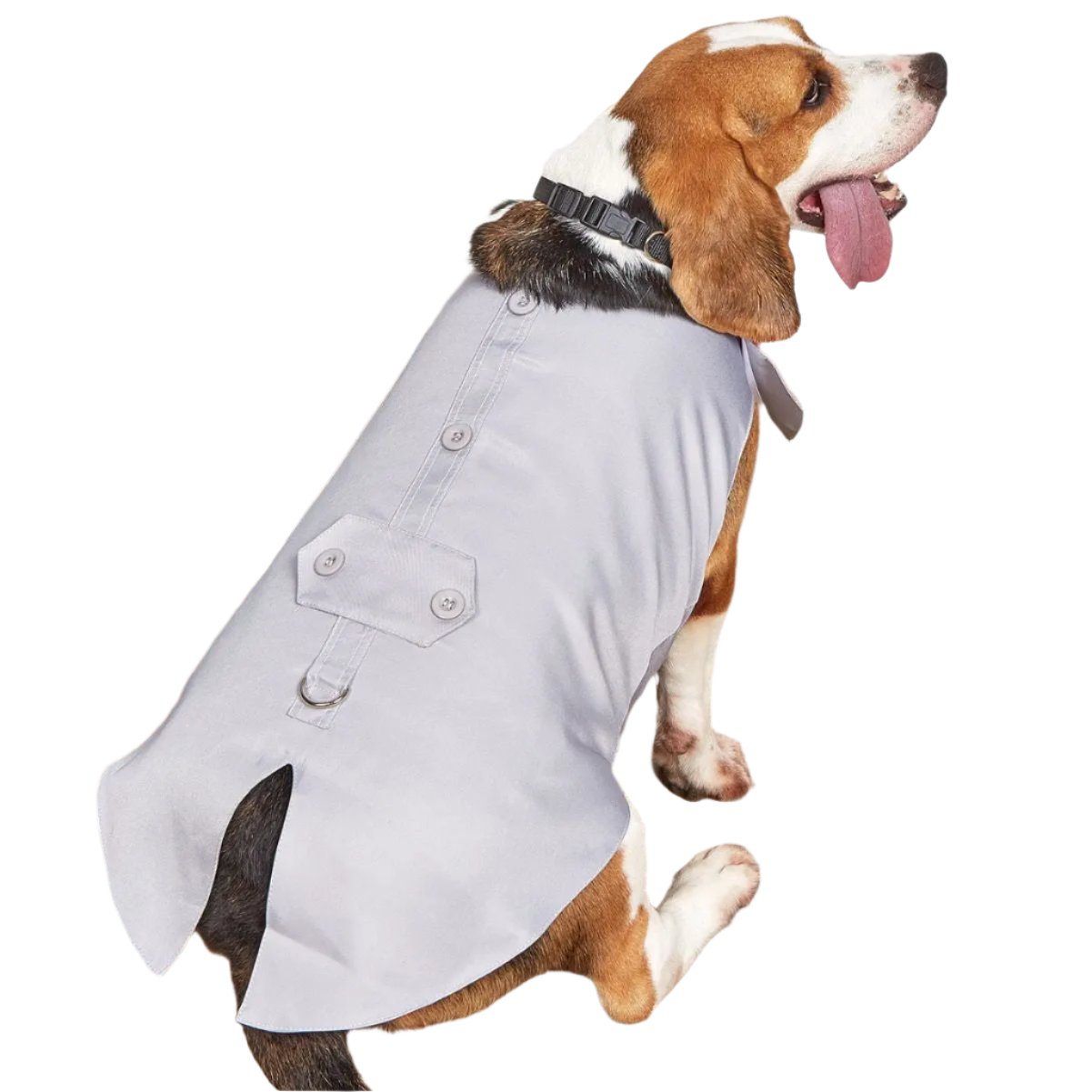 Dog Pet Clothing - Marsel & Co.