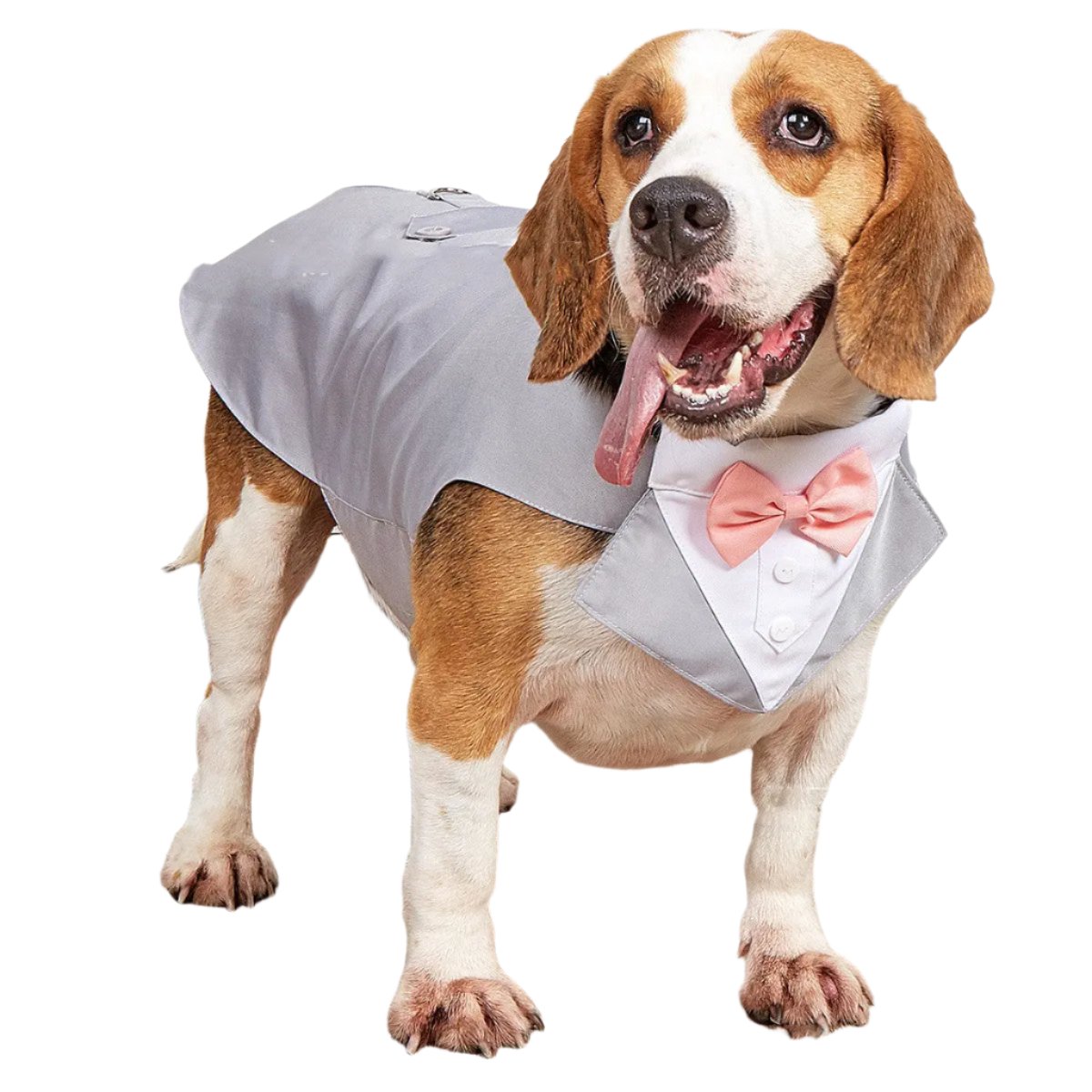 Dog Pet Clothing - Marsel & Co.