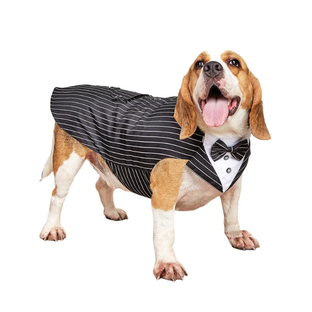 Dog Pet Clothing - Marsel & Co.