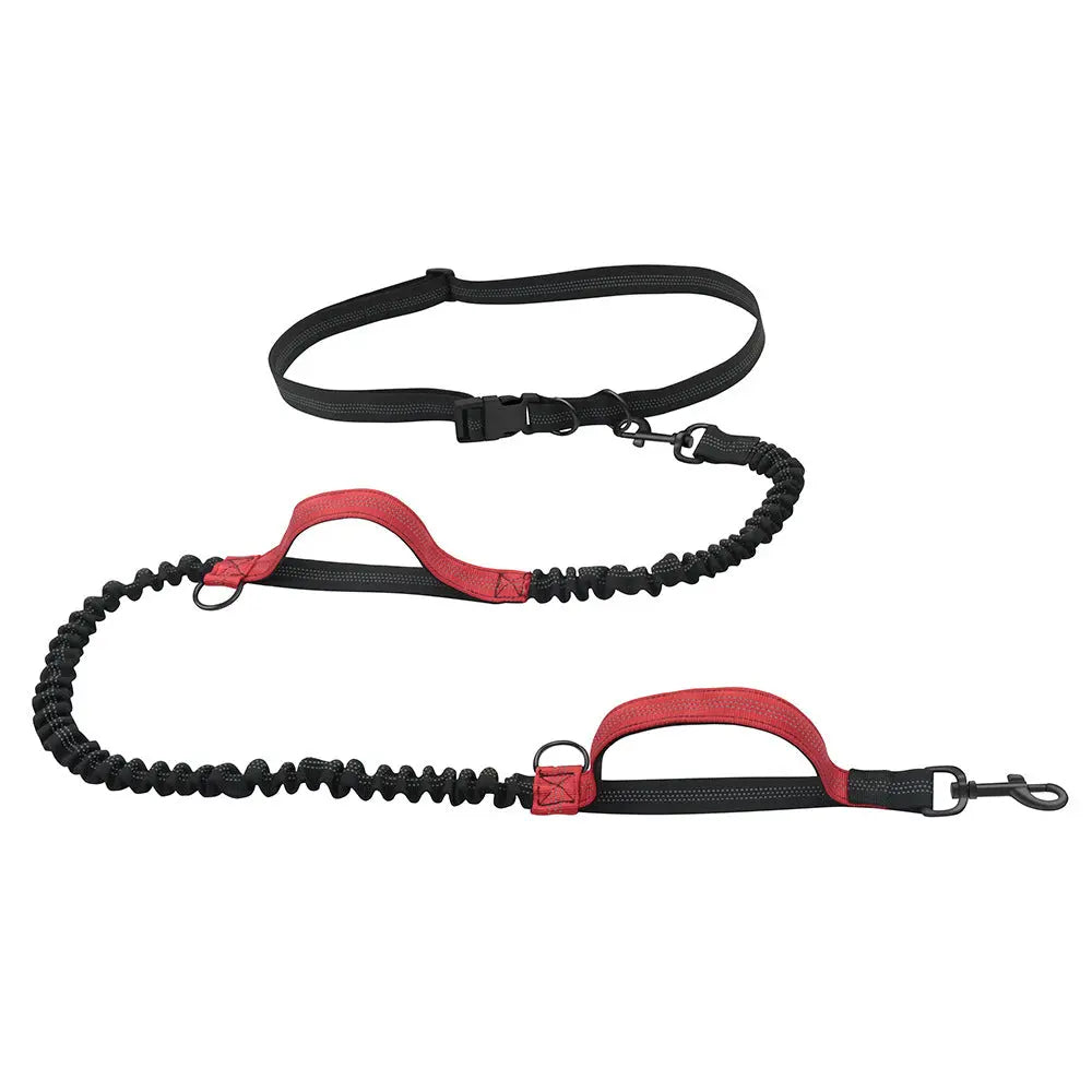 Dog Hand Holding Rope Portable Running - Marsel & Co.