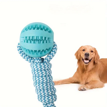 All-Breed Interactive Dog Toy - Durable Chew Ball With Treat Dispenser For Dental Health Marsel & Co.