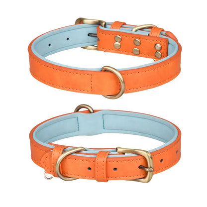 Pet Collar for Dogs & Cats - Marsel & Co.