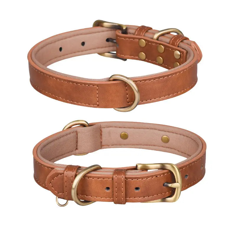 Pet Collar for Dogs & Cats - Marsel & Co.