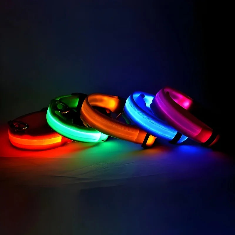 LED Dog Collar - Nylon Night Safety Flashing Glow Pet Leash - Luminous Fluorescent - Dog Accessories Marsel & Co.