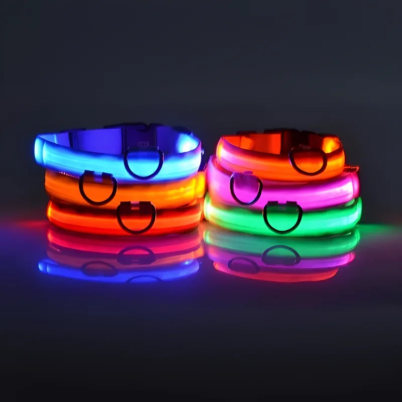 LED Dog Collar - Nylon Night Safety Flashing Glow Pet Leash - Luminous Fluorescent - Dog Accessories Marsel & Co.