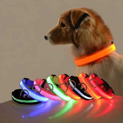 LED Dog Collar - Nylon Night Safety Flashing Glow Pet Leash - Luminous Fluorescent - Dog Accessories Marsel & Co.