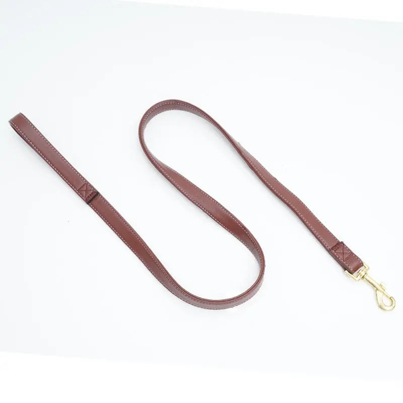 Leather Dog Leash - Marsel & Co.